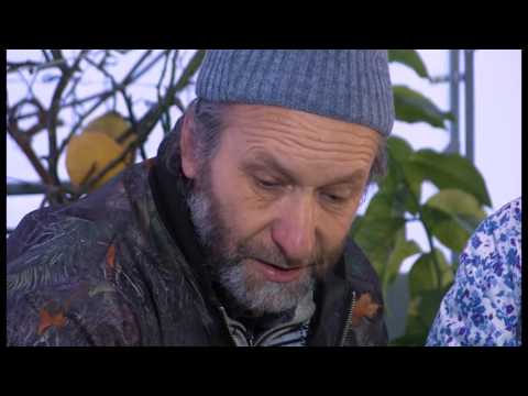 Программа «Удача на даче»: Игорь Басков рассказывает о правильном поливе почвы