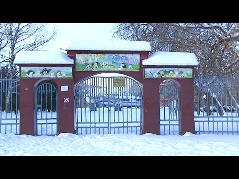 Рыбинские вандалы осквернили парк отдыха