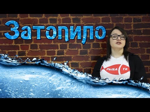 Рыба-ТВ. Выпуск №12