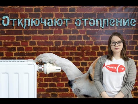 Рыба-ТВ. Выпуск №28