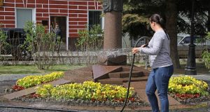 В весенний период в Рыбинске украсят 34 клумбы