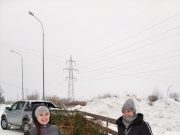 Отслужившие новогодние елки отправились на паллеты