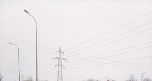 Отслужившие новогодние елки отправились на паллеты