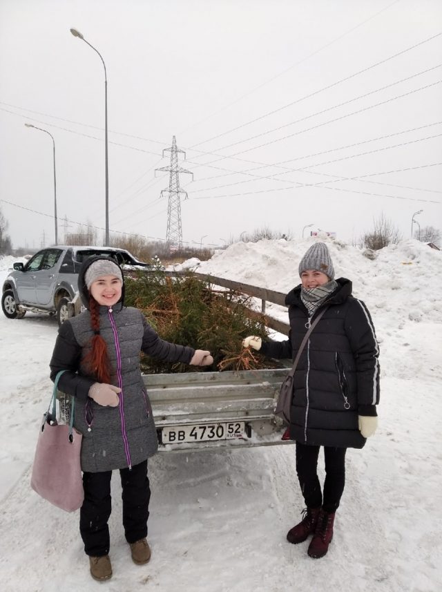 Отслужившие новогодние елки отправились на паллеты