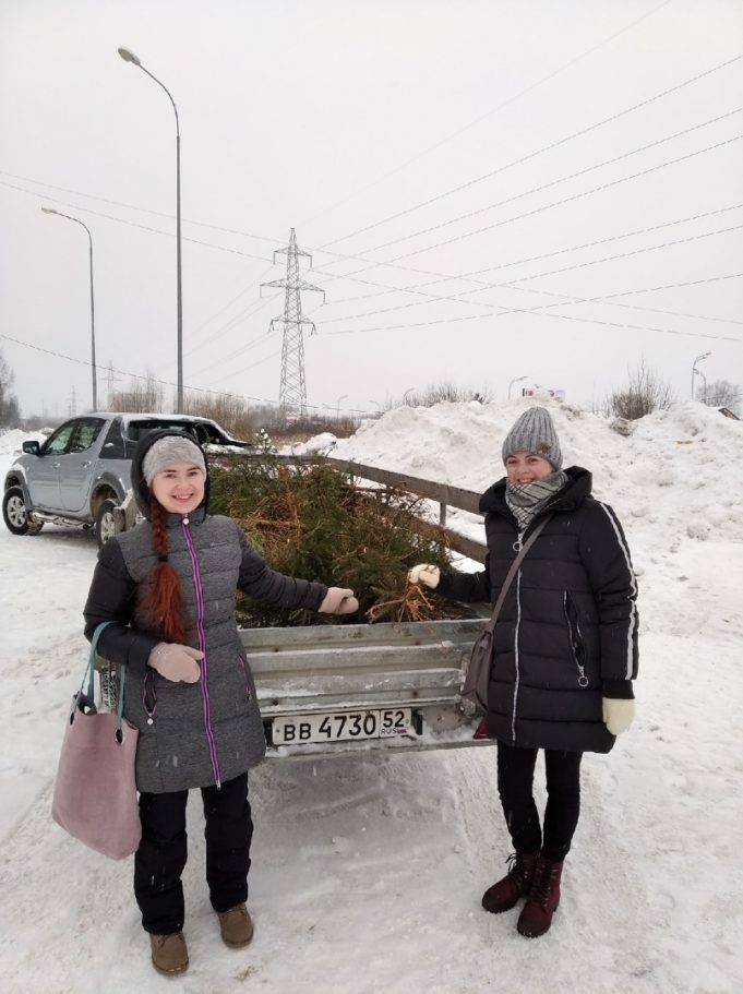 Отслужившие новогодние елки отправились на паллеты