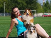 Аджилити: тест на двоих