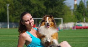 Аджилити: тест на двоих