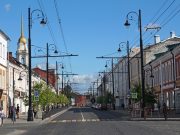 Рыбинская комиссия по зеленым насаждениям рассказала о результатах работы за прошлый год