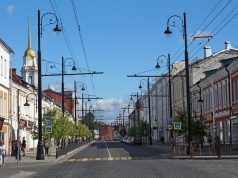 Рыбинская комиссия по зеленым насаждениям рассказала о результатах работы за прошлый год