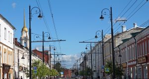 Рыбинская комиссия по зеленым насаждениям рассказала о результатах работы за прошлый год