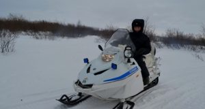 В Демино ограничат движение снегоходов