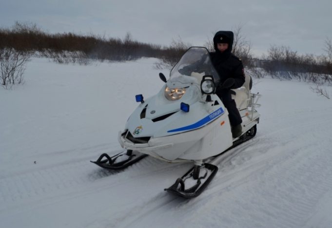 В Демино ограничат движение снегоходов