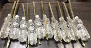 Алкоголь не попал в рыбинскую колонию