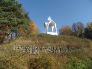 Выбор за рыбинцами