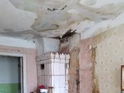 Общественников Рыбинска объединил Дом семьи Сигсонов