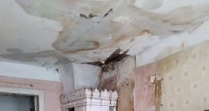 Общественников Рыбинска объединил Дом семьи Сигсонов