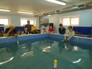 Рыбинцы стали победителями и призерами Всероссийских соревнований по судомодельному спорту