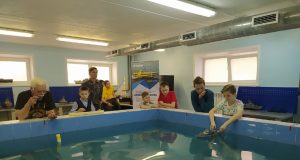 Рыбинцы стали победителями и призерами Всероссийских соревнований по судомодельному спорту