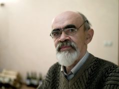«Дневниковые записи» Николая Палькина