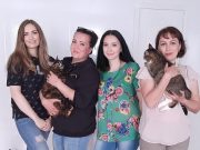 «Кошкин дом»: как помогают бездомным животным в Рыбинске