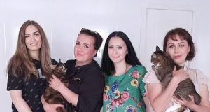 «Кошкин дом»: как помогают бездомным животным в Рыбинске