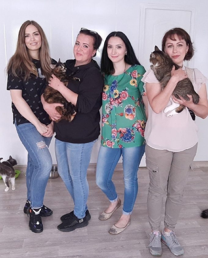 «Кошкин дом»: как помогают бездомным животным в Рыбинске