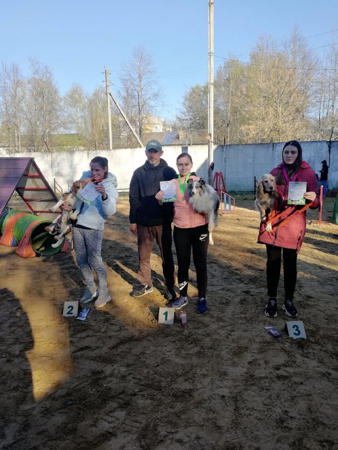 Рыбинские кинологи показали достойный результат на выездном соревновании