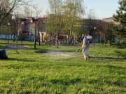 В Рыбинске завершена акарицидная обработка мест массового отдыха