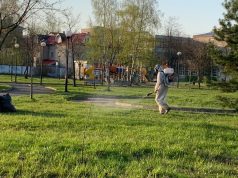 В Рыбинске завершена акарицидная обработка мест массового отдыха