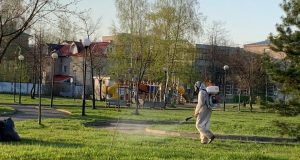 В Рыбинске завершена акарицидная обработка мест массового отдыха