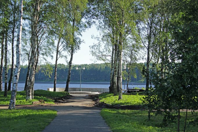 Вырубка деревьев в Волжском парке: комментарий администрации