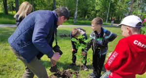 Журналисты Рыбинска высадили каштаны