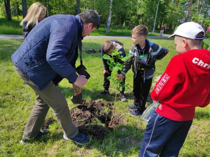 Журналисты Рыбинска высадили каштаны