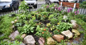 Идёт прием заявок на конкурс «Цветущий город»