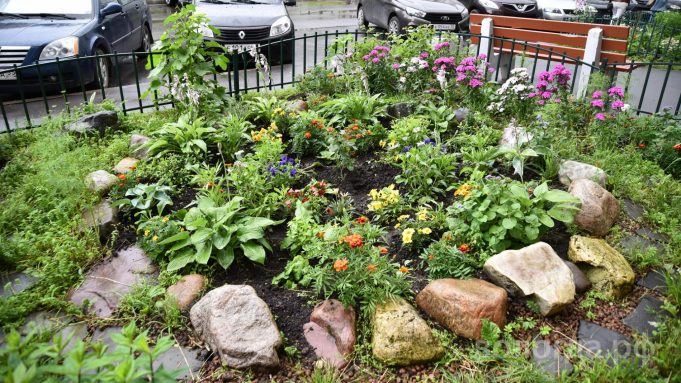 Идёт прием заявок на конкурс «Цветущий город»