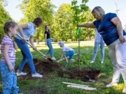 Жители Рыбинска приняли участие в Зеленом марафоне