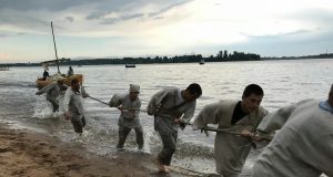 В день города Рыбинска вдоль Волги пройдут бурлаки