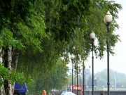 Велодорожку на Волжской набережной достроят к осени