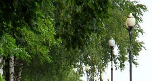 Велодорожку на Волжской набережной достроят к осени