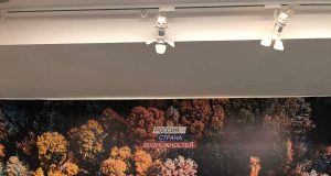 Жительница Рыбинска претендует на звание «Мастера гостеприимства»