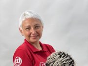 От экономиста до парикмахера