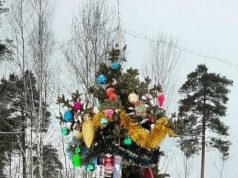 В Рыбинске наградили победителей новогоднего конкурса