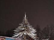 Елка из лыж в городском сквере будет пятиметровой