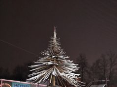 Елка из лыж в городском сквере будет пятиметровой