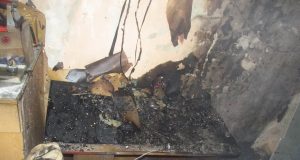 Сгорела заживо вместе с животными: в Рыбинске погибла пенсионерка