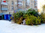 По Рыбинску прокатится «Елкомобиль»