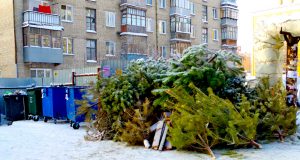 По Рыбинску прокатится «Елкомобиль»