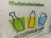 Рыбинские экоактивисты собрали более 250 тысяч рублей