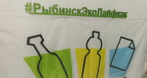 Рыбинские экоактивисты собрали более 250 тысяч рублей