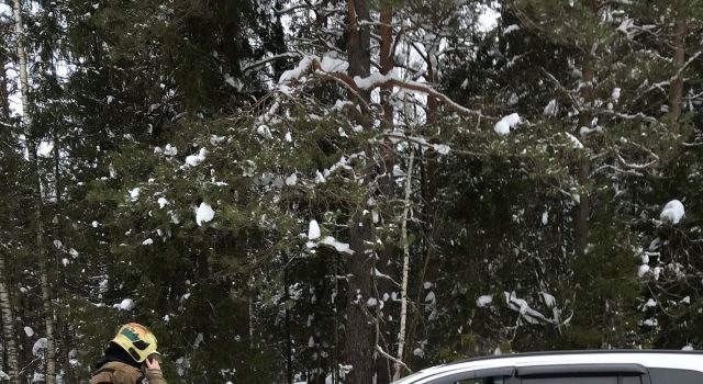 В ДТП под Рыбинском погиб водитель